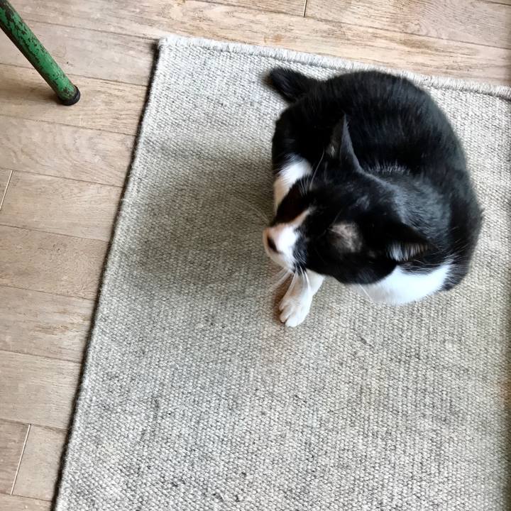 D29c8542 b8cd 4800 b578 0d7633851528