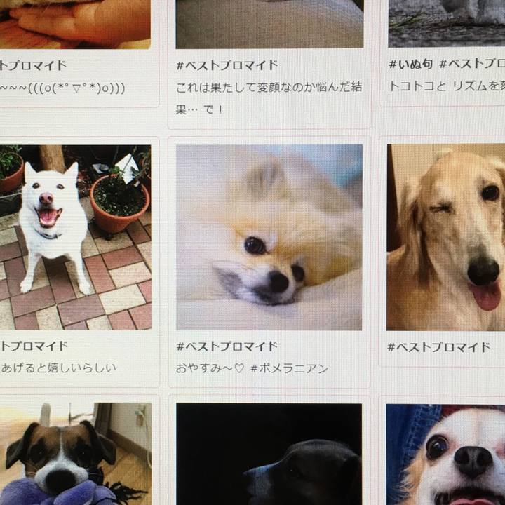 D29ca474 fd97 4897 9366 a95f85e17840