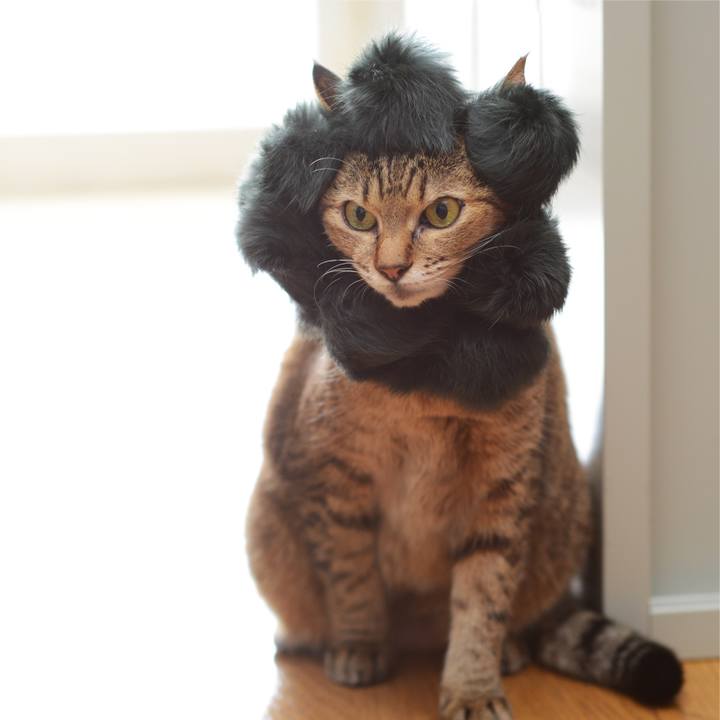 D29cab64 dd0c 48b0 8add 75cf259ca649