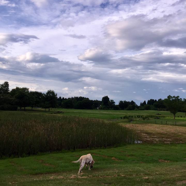 D29cd511 c251 4589 8e21 49d8e94fa4bf