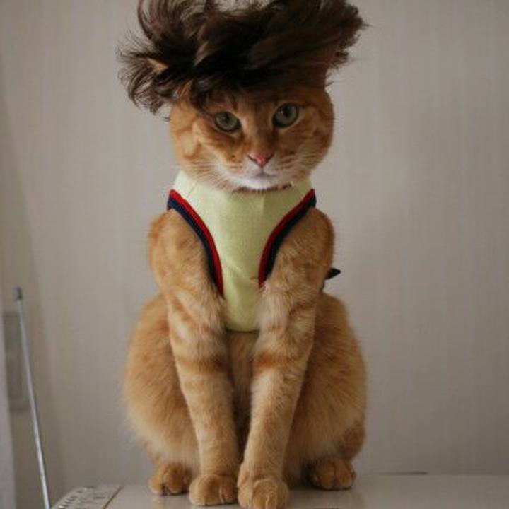 D29d1760 8cb4 4b5e 855b 7de75375fc4e