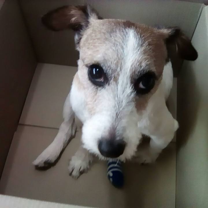 D29db4fc 1a40 4a47 aa63 4c9de9f3afd3