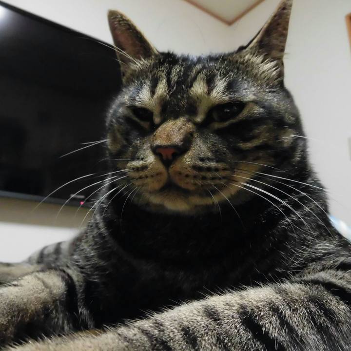 D29ea583 1740 48b2 896e 168465628b6d