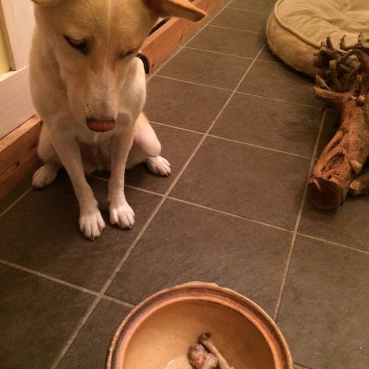 D29f18e9 952e 4ae2 89e6 0277e6d8b1ee