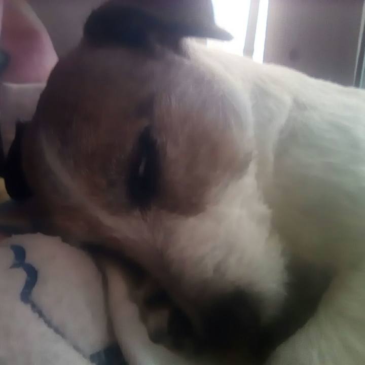 D29f20fd f904 4483 917a 0fbad9e553a4