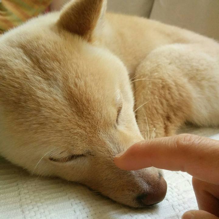 D29f8d29 1aa2 45dd bddc b96e414b11fb