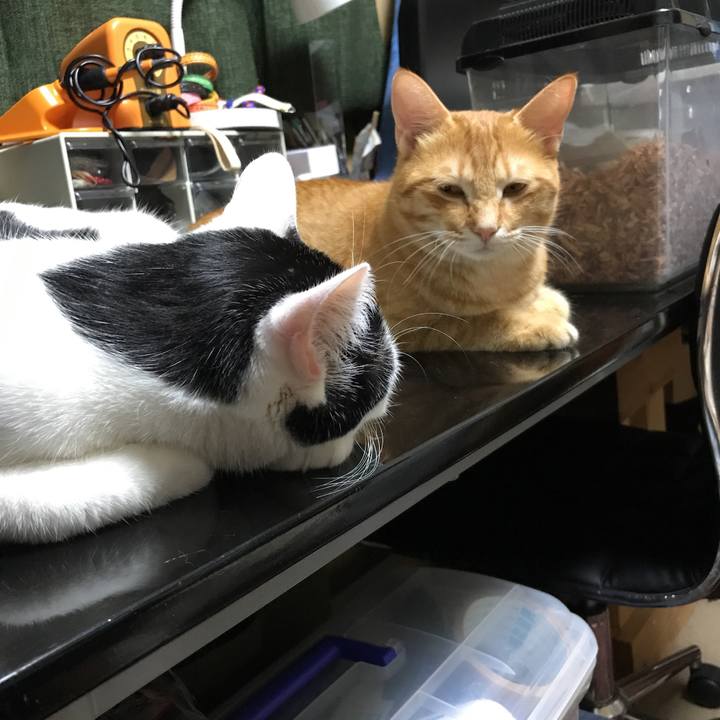 D2a04f24 7208 4b19 a352 f1f038c7a9bf