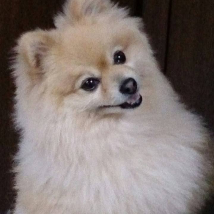 D2a07ef4 f6a5 48e0 af1e 1d0902d68bfb