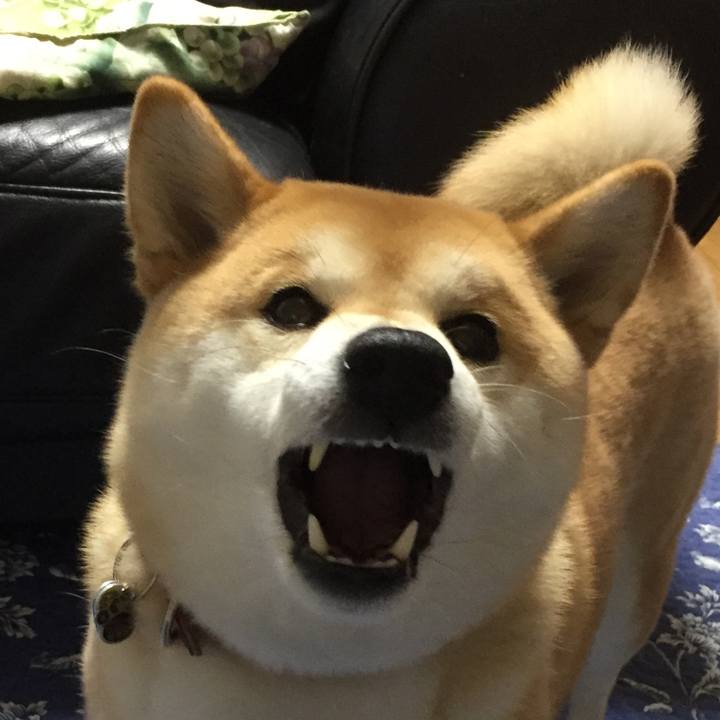 D2a10747 9f7d 411a aee3 bf3beceaf04e