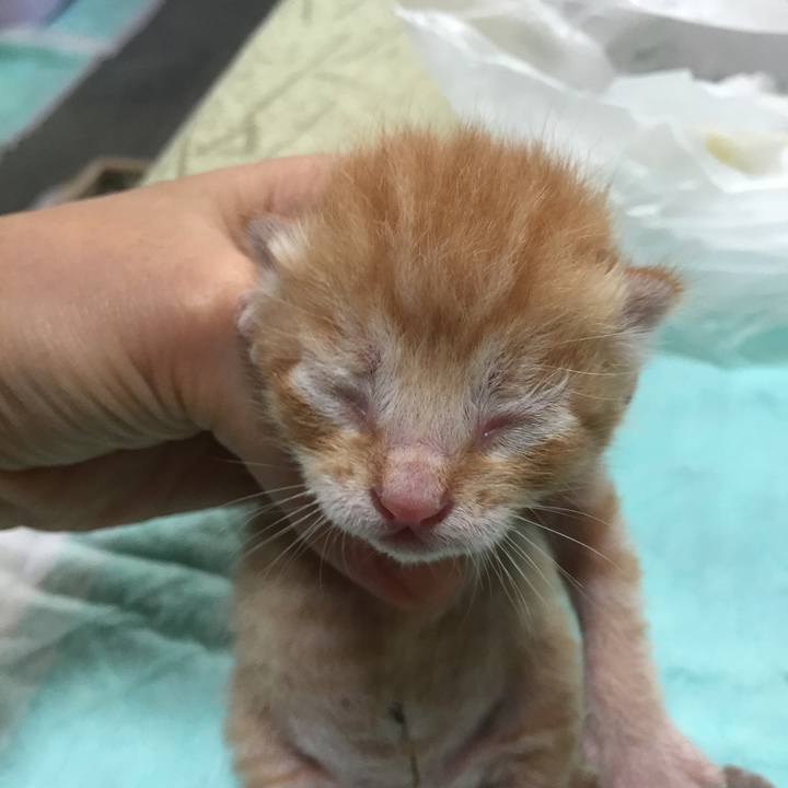 D2a11a53 1605 4aad a6f6 cc69251dfdfc