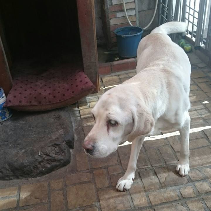 D2a11b29 871d 4064 9922 9fc5f29ee47c