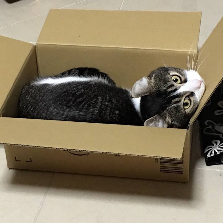 D2a14f6a bf6f 4818 b712 17e83f7f6d13