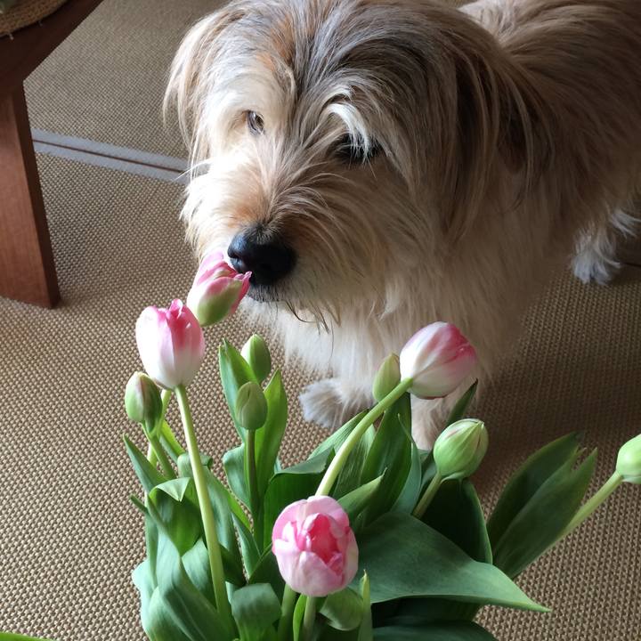 D2a1fba0 bf45 42c9 b203 61188450b265