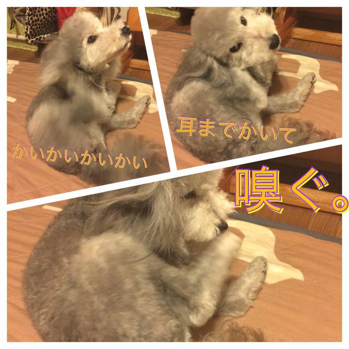 D2a203bd bc9d 483c 910c e166d6a042d3