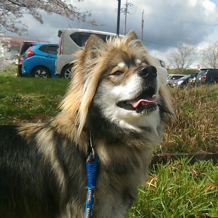 D2a21d36 2cd9 4f48 954c 658c6375ecc7