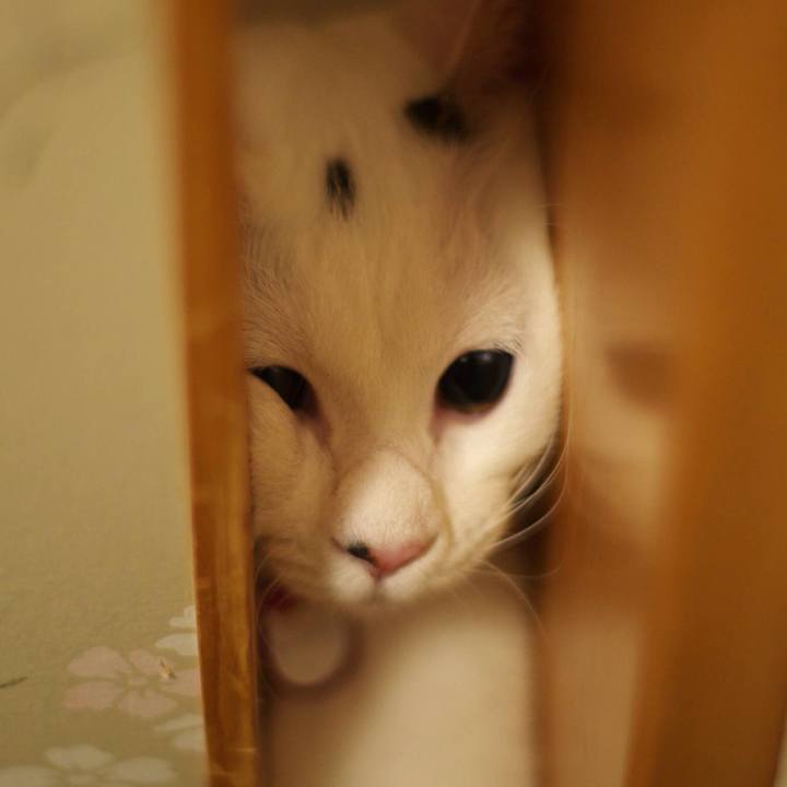 D2a2298e 7e64 4025 a3d0 1f37d7d297f2