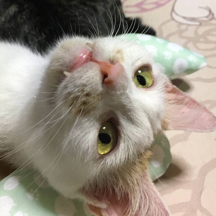 D2a28692 0c2a 43d3 bc5e 4ca452b7e324