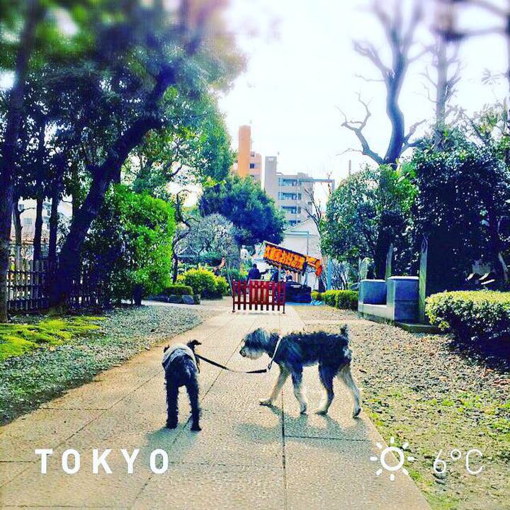 D2a2a697 35ca 47d6 a484 6739192cbd7b