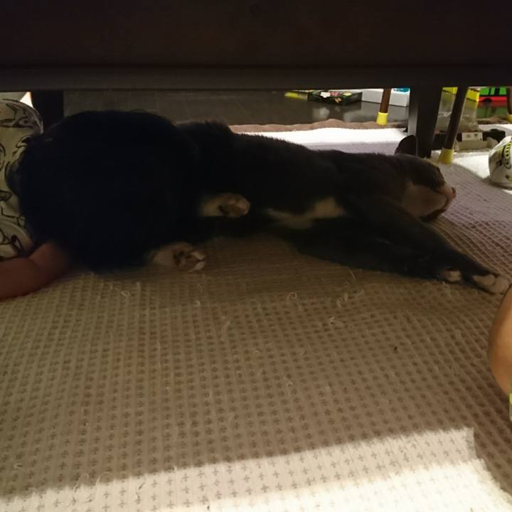 D2a2e549 7785 4f06 af48 389deae0cd98