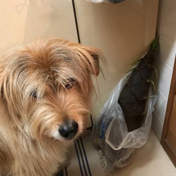 D2a344a8 e973 4fa3 b596 6b4d099d0e78