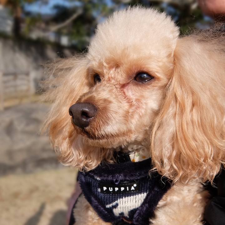 D2a3a64b 24f1 46fc bf81 8a217bd41215