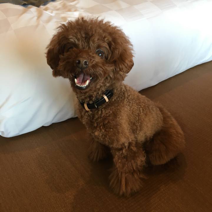 D2a40559 f0fe 4c11 a698 3b232142abe4