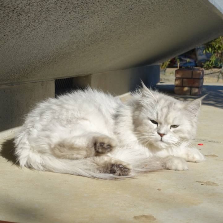 D2a457d1 9e2e 4cd0 b35b 07a182f99c55