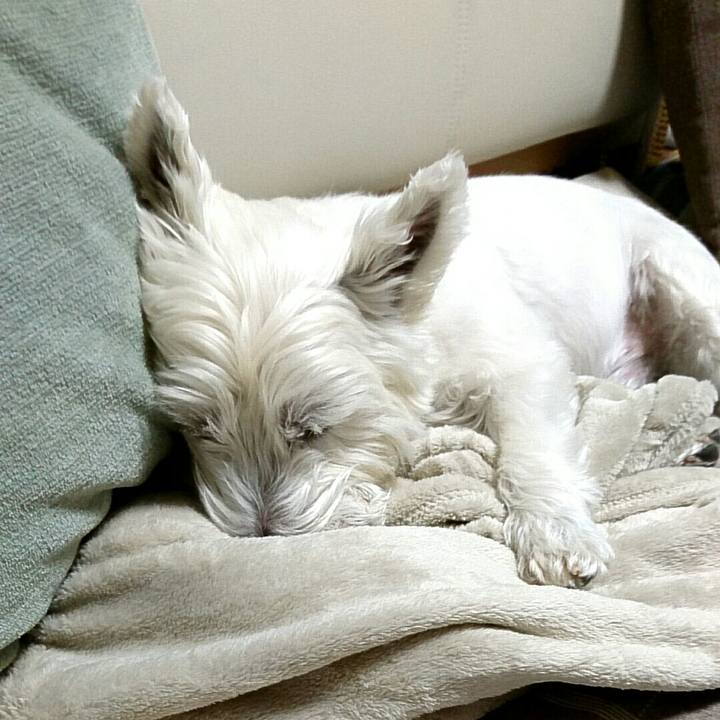 D2a5cd57 b185 4b45 86d2 e0fec4f07f53