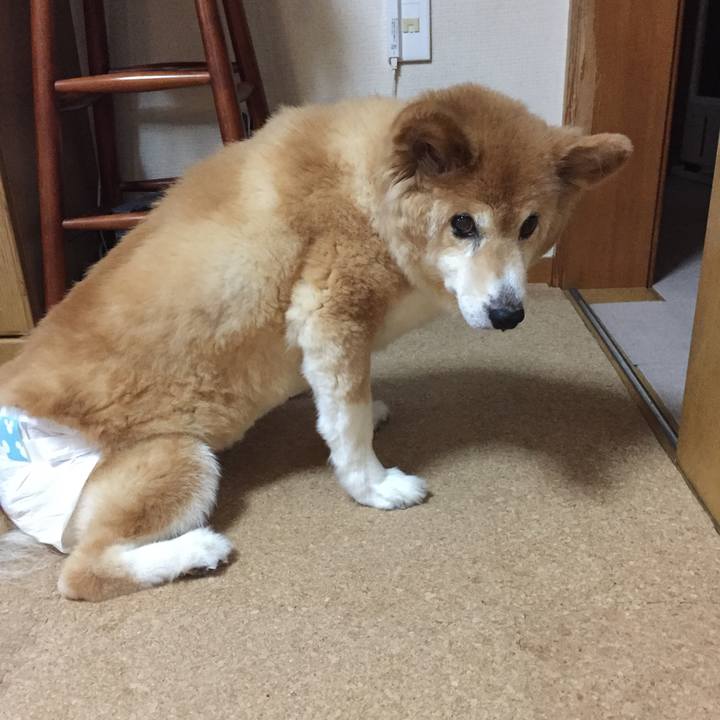 D2a61fc0 bbcb 458a 9afc 6742e96eab26