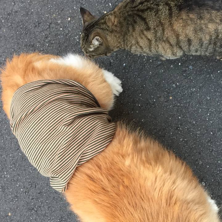 D2a7f5a3 b717 46dc 9ea0 26072ce51436