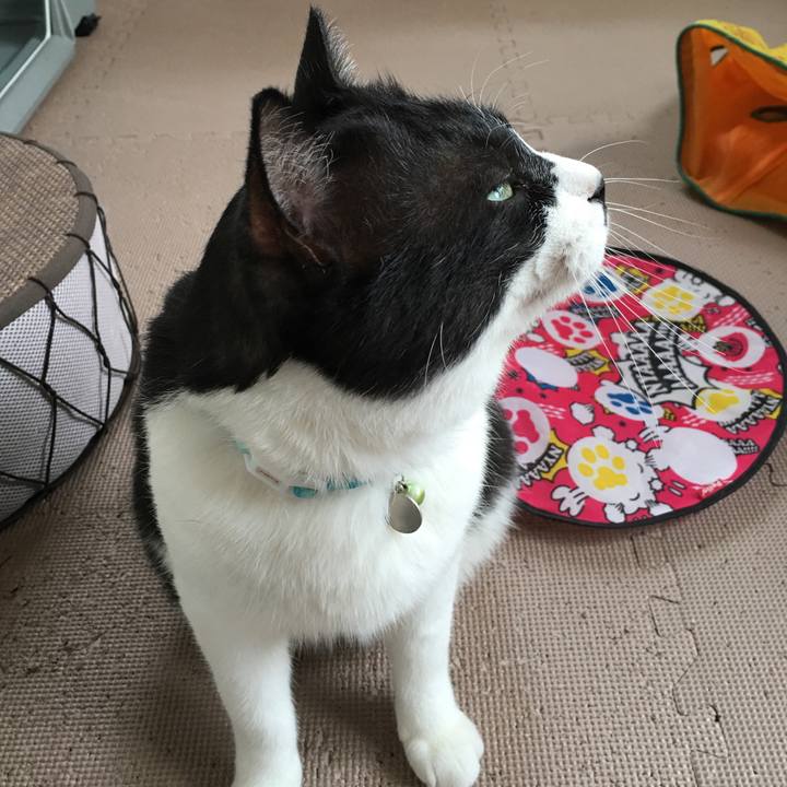 D2a92996 aec2 48ca b740 55bc9e0e871f