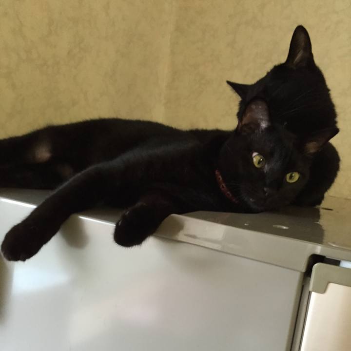 D2a94e26 fcdb 4ae2 89b3 07efa6dde4ea