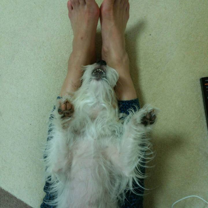 D2a97bad 9901 456c a6a0 52ed791f3812