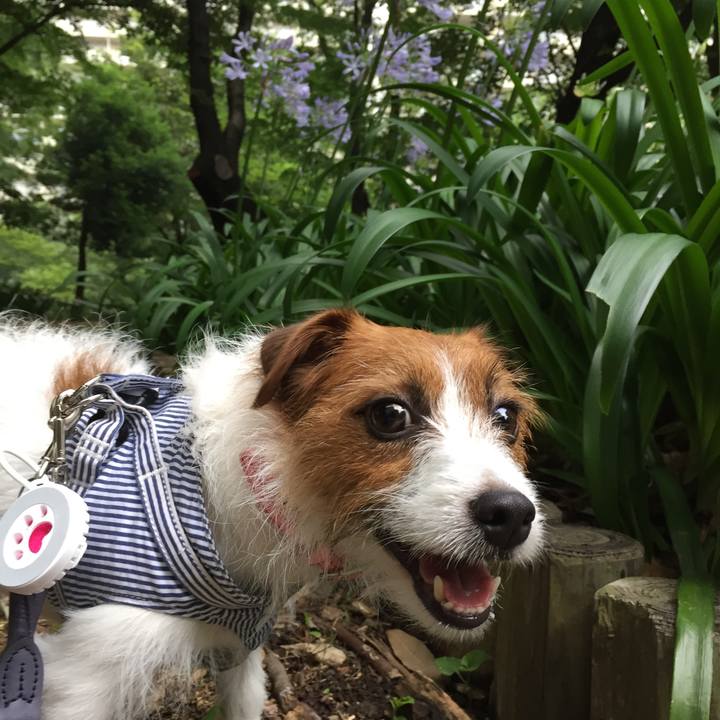 D2aa391f 0bf7 478d a120 4f0fb2c2726c