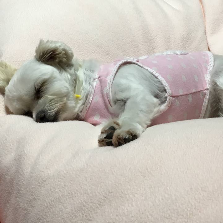 D2aa7fba dd8f 48de 9119 69d87d16c85d