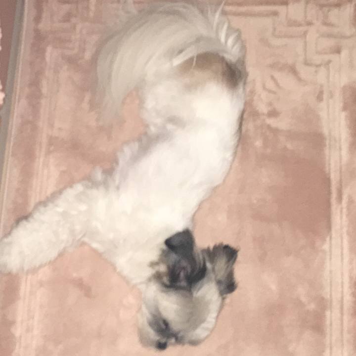 D2ab10c4 5807 488f a986 d58ff369be0a