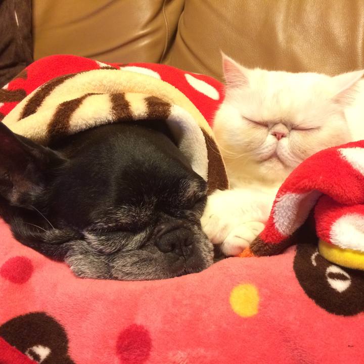 D2ab511c 0b9e 4d2f b596 bc936239f4ab