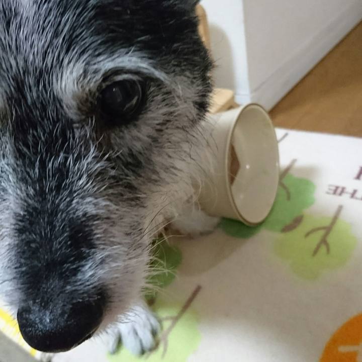 D2abdf51 62b3 4968 a9ee 60dc8968afa5