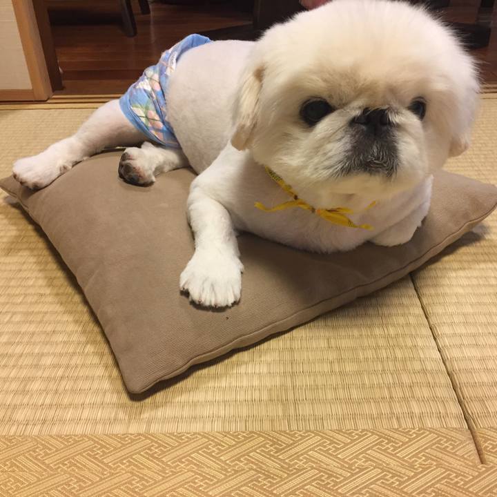 D2abdf57 9502 47c8 bb21 53d2625ab4d1