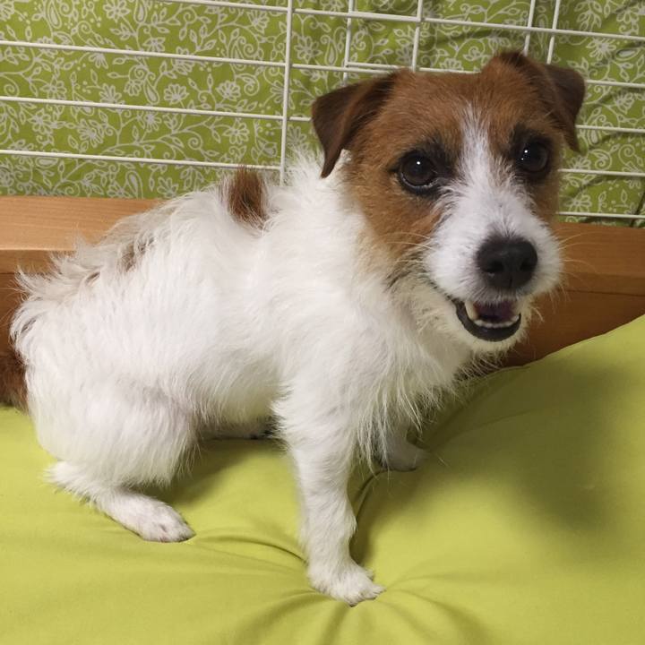 D2abfe8b 8313 4c8b 99d2 88ac048f37f5