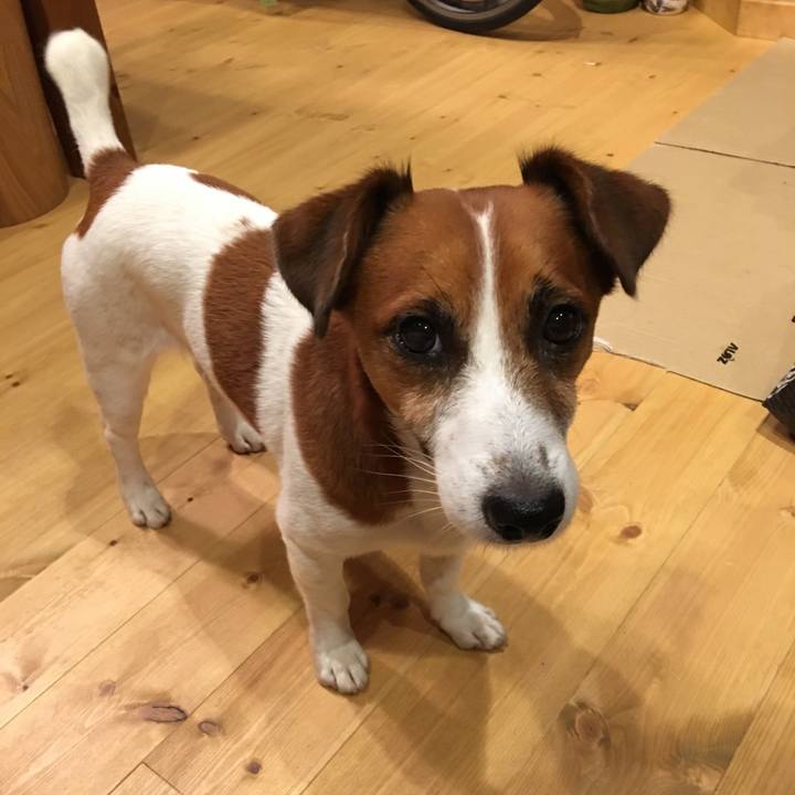 D2ac982d b6a4 4d90 9420 fbc23560a2f0