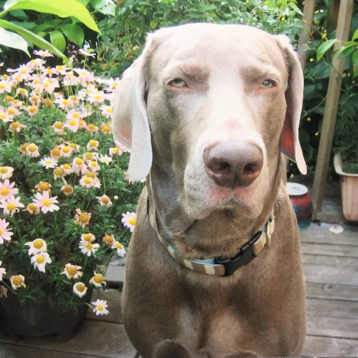 D2ad7b85 aab1 46a8 bd63 b66c5be0efa5