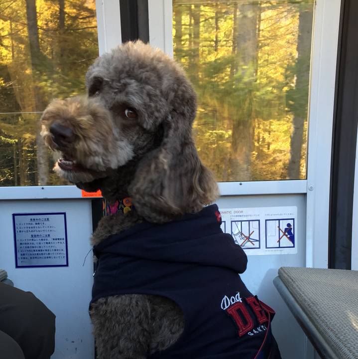 D2ae325d 3fe2 481a 8515 045e1f3dd7d9