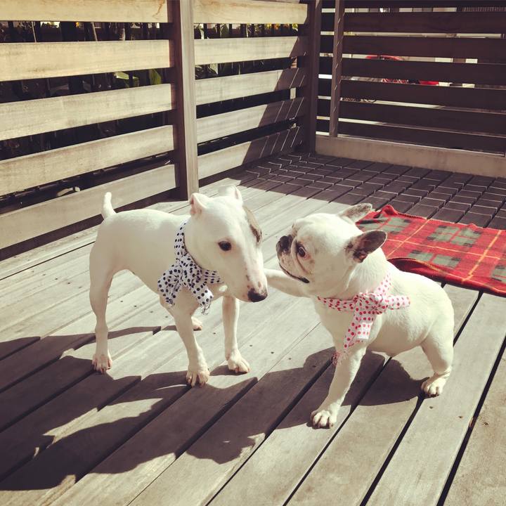 D2aed903 c8ca 4766 8064 b4d502400f2a