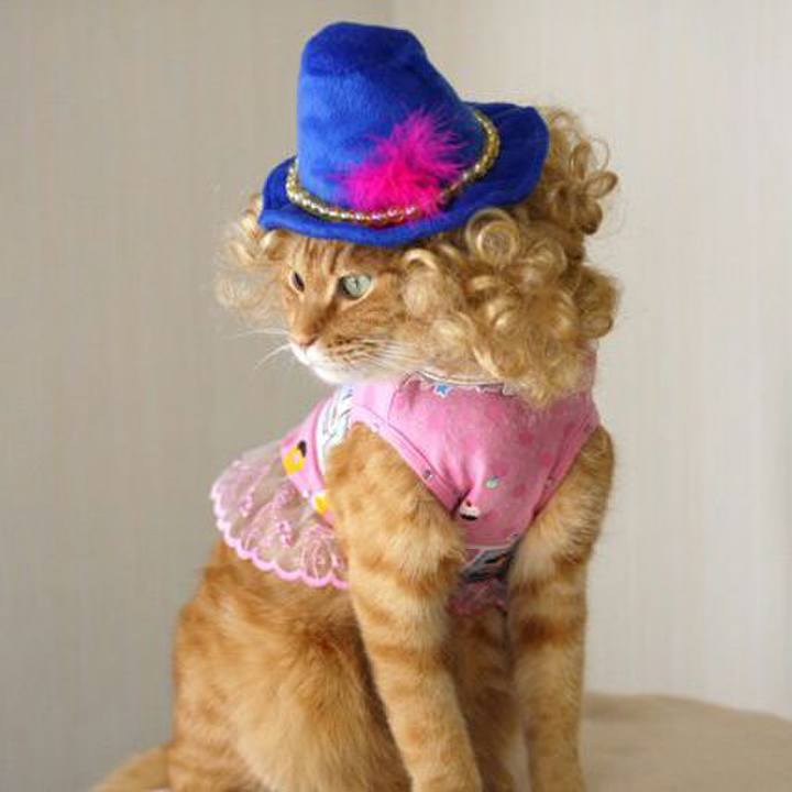 D2af5fa7 e279 46de bb71 faa6fa496104