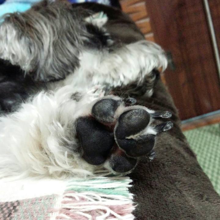 D2afef6c 9e44 4a7c 9e5b 7d392e4fc35a