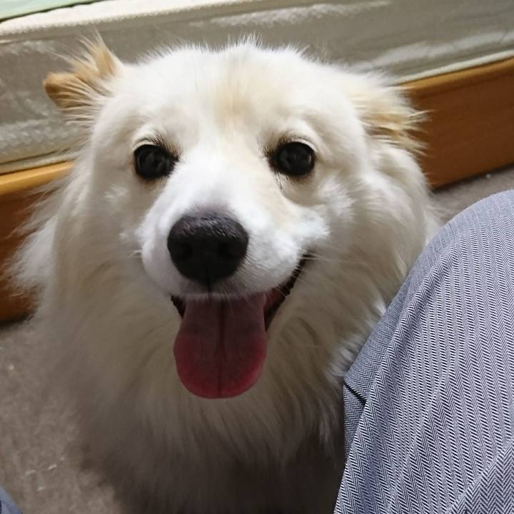 D2b0038d 0703 4d64 8984 6e68b2d47822