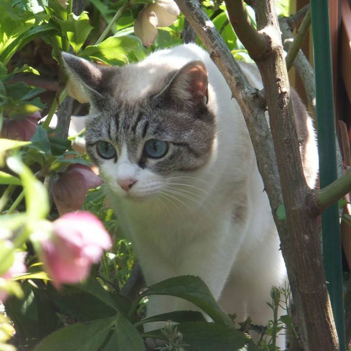 D2b04baf a7e3 4276 b0c1 fefd6f67abb6