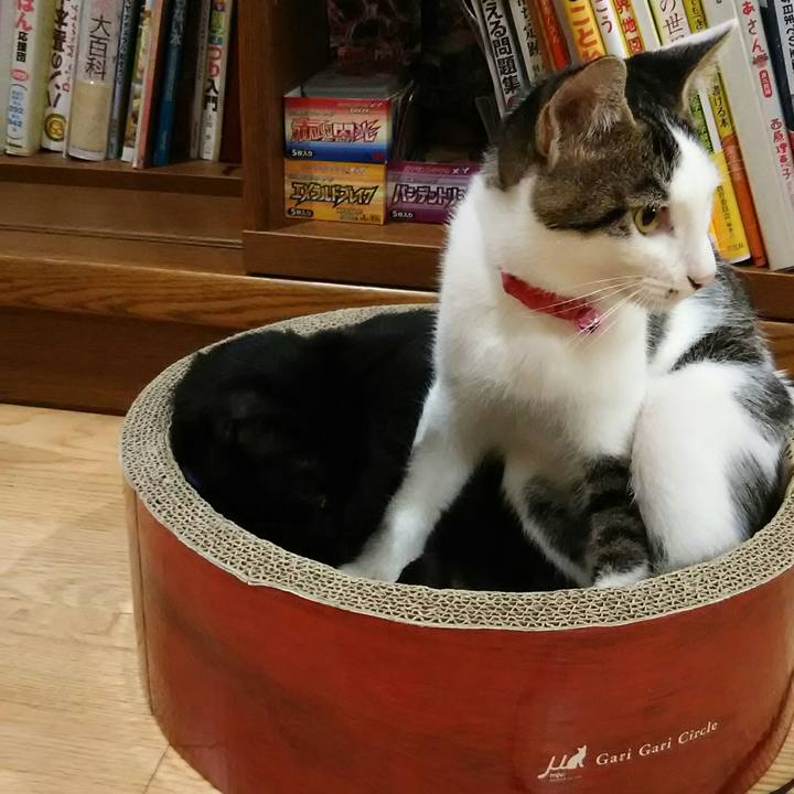 D2b0b352 3e7d 4a27 8485 ced15ff8e5b2