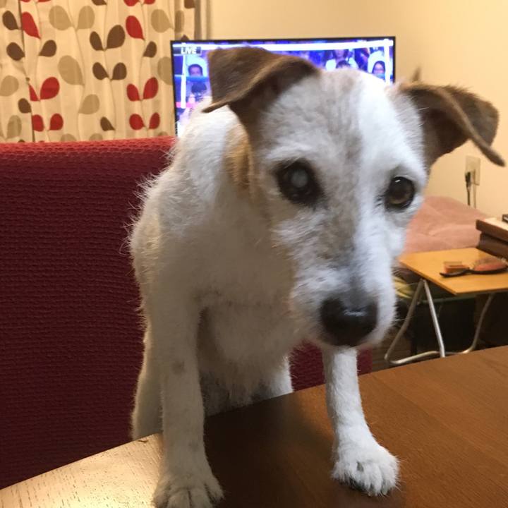 D2b0b44b 0f53 4a6a a88b c2d591976d2c